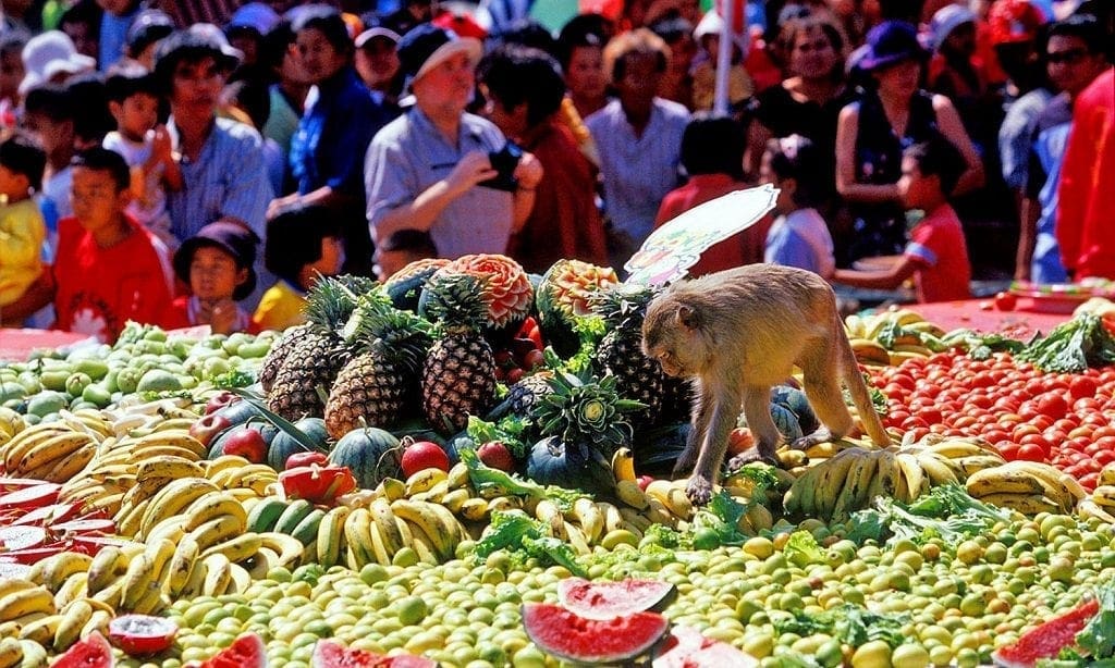 Festival Unik Thailand: Monkey Buffet di Desa Lopburi